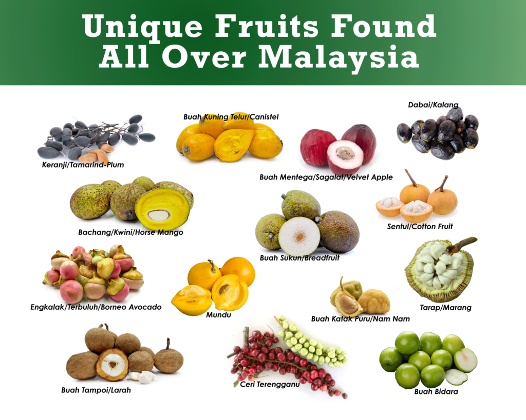 Malaysia Fruits List