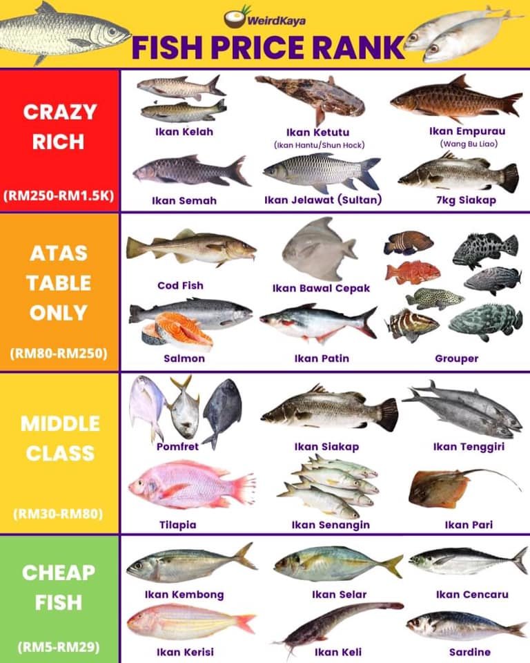 Types of Fish in Malaysia Market – Malaysia for you